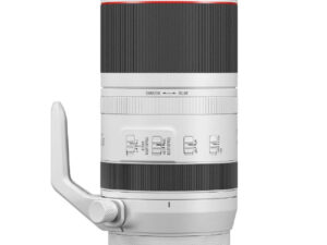Canon RF 100-500mm f/4.5-7.1 L IS USM Lens