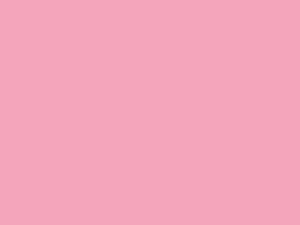 EMAILY#17 PINK SEAMLESS BACKGROUND PAPER(2.72M*10M)