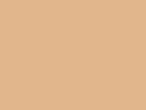 EMAILY #26 PONGEE SEAMLESS BACKGROUND PAPER (2.72X10M)