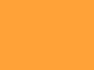 EMAILY #35 YELLOW ORANGE 2.72*10m SEAMLESS BACKGROUND PAPER