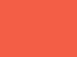 EMAILY #39 BRIGHT ORANGE 2.72*10m SEAMLESS BACKGROUND PAPER