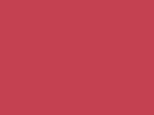 EMAILY #56 SCARLET 2.72X10m SEAMLESS BACKGROUND PAPER