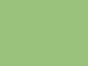 EMAILY #63 APPLE 2.72X10m SEAMLESS BACKGROUND PAPER