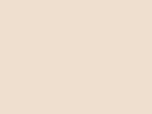 EMAILY #64 FAWN 2.72*10m SEAMLESS BACKGROUND PAPER