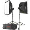 Godox MS300-F 2-Monolight Kit