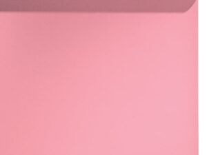 LENZCAM#42 PINK(2*72*11M)Seamless Background Paper