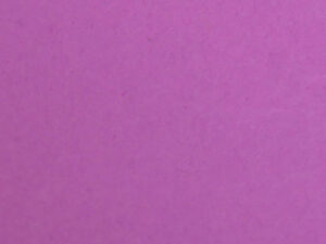 LENZCAM PLUM#91 3*11 M Seamless Background Paper