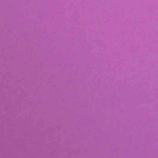 LENZCAM PLUM#91 3*11 M Seamless Background Paper