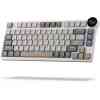 ROYAL KLUDGE RK N80 GAMING KEYBOARD