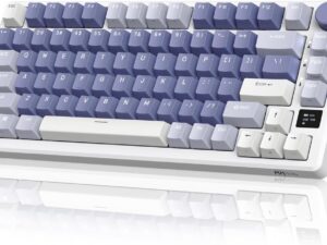 ROYAL KLUDGE RKM75 GAMING KEYBOARD