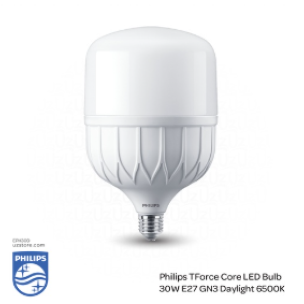 PHILIPS TForce Core LED Lamp Bulb E27 GN3 30W , 6500K Cool DayLight 929002408408
